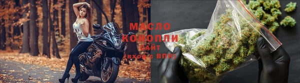 2c-b Новозыбков