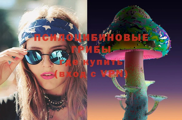2c-b Новозыбков
