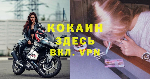 2c-b Новозыбков