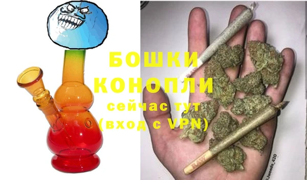 твердый Новокубанск