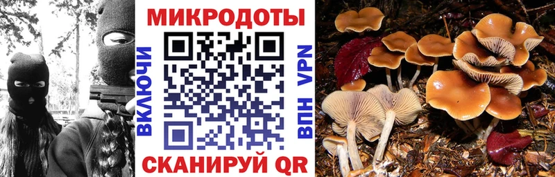дарк нет официальный сайт  Реутов  Псилоцибиновые грибы MAGIC MUSHROOMS  где купить наркотик 